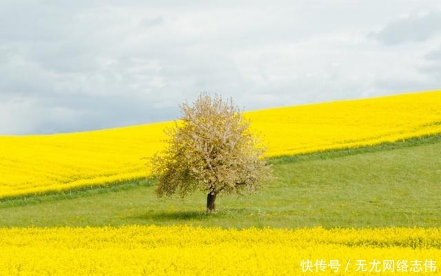 白羊|水瓶座：伤心时能陪你一起淋雨的5个星座，与你共进，也与你伤感