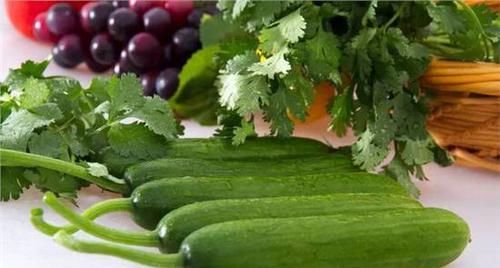 肠道的天然“清洁工”，每天吃一点，清理肠道毒素，健康更长寿