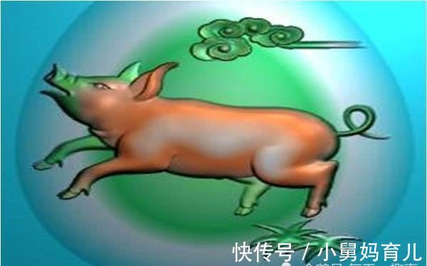 中年危机|1971年辛亥生“金猪”人，财运和避难方法送给你，晚年财福双收！