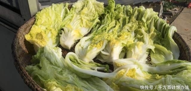 5道超下饭的自制腌菜,做法简单,无添加剂,存放1年都没问题