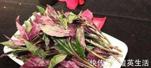 西米西米|女性到了中年，常吃的食物，补血益气，排毒润肤，滋补身体