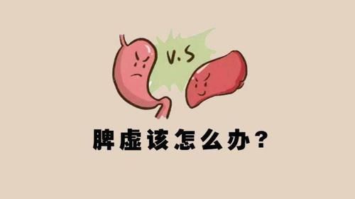 脾气虚|中国人为什么这么容易脾虚?一文告诉你如何调