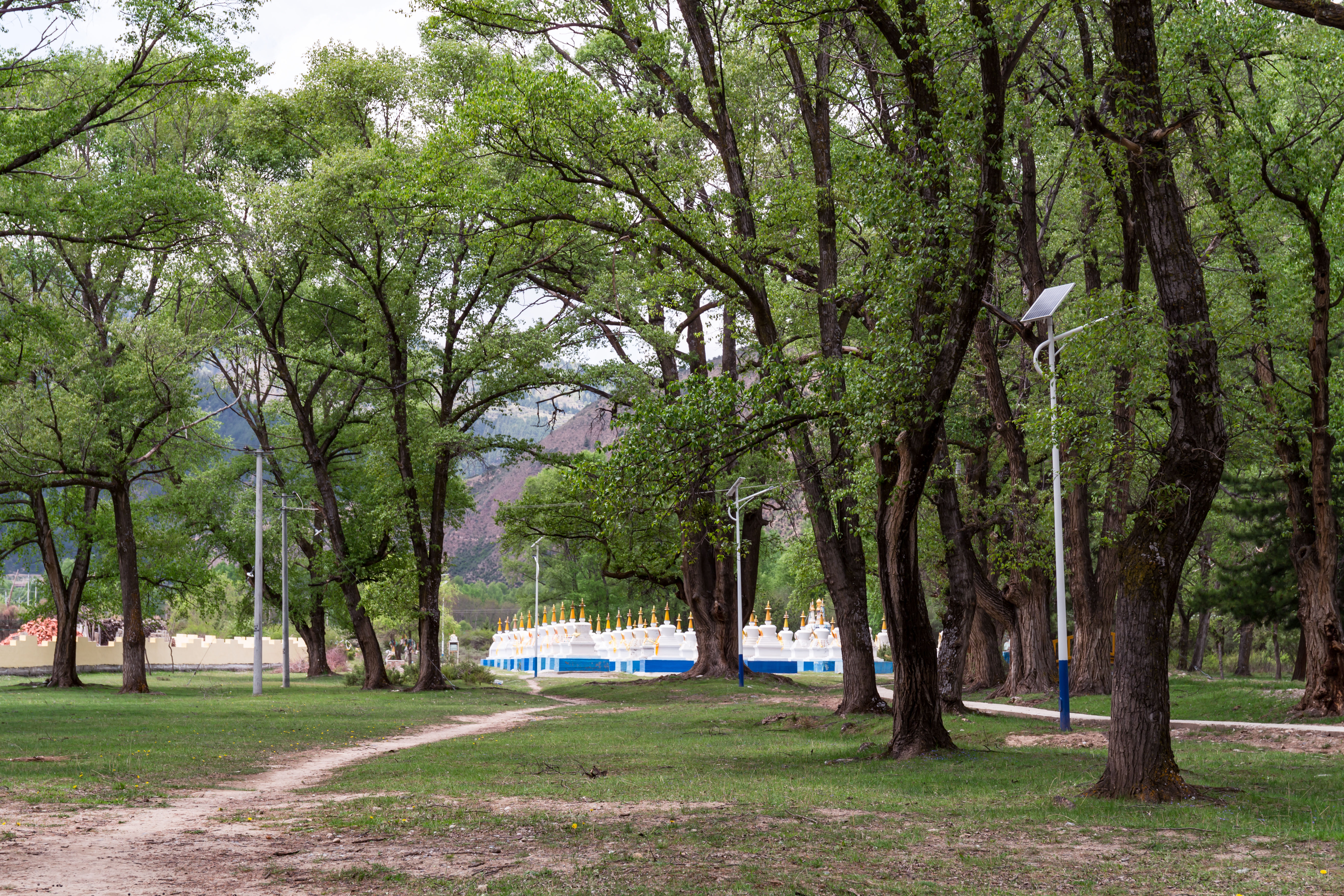 【阿坝甘南行上篇】去红色阿坝，沿着松州若尔盖走过雪山草地