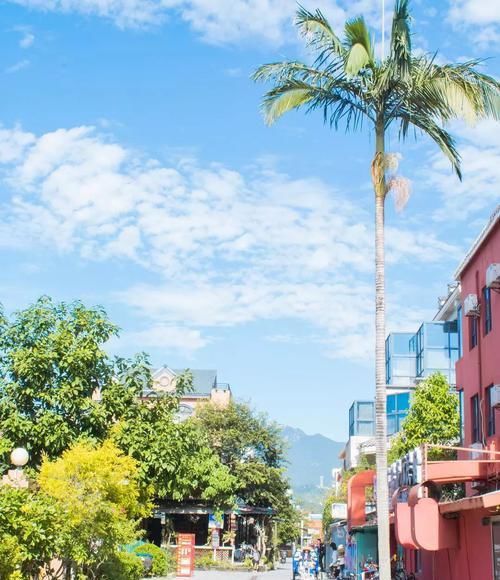 忘不了|让黄渤甘当配角,豆瓣高分综艺《忘不了餐厅》取景地!