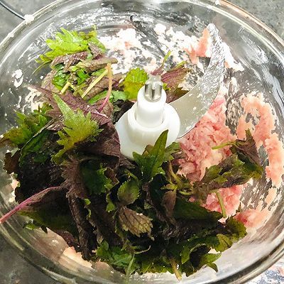 紫苏叶|紫苏蒸肉饼