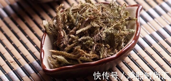 筋骨|千年一味“伸筋草”！拉筋舒筋，去寒气湿气，福泽众生，深藏功名