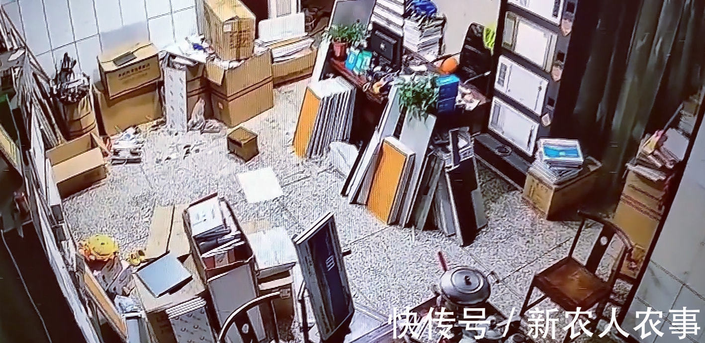 捉迷藏|河南一小女孩藏到纸箱捉迷藏,意外睡着了急坏妈妈,网友:熊孩子