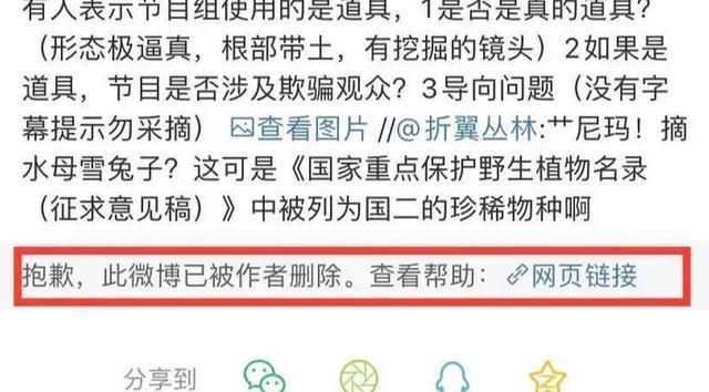 嘉賓|出了事就甩鍋嘉賓,難怪從一流節目做成了三流