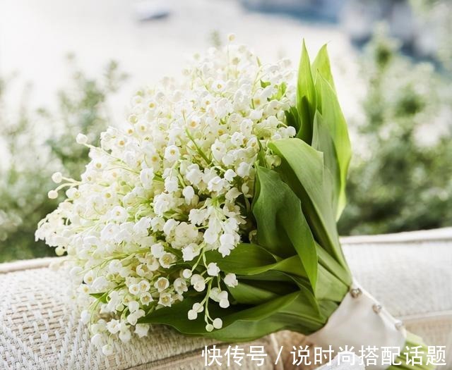 明星|一把“烂草根”能种出价值上万元的“手捧花”,明星和王室的最爱!