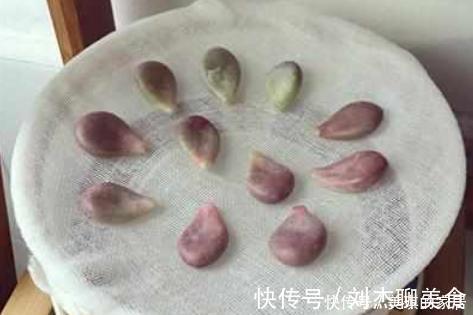 多肉叶片扦插繁殖,利用懒人法,长势旺盛,一盆变几十盆