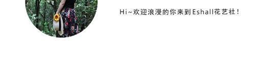 感觉|落入温柔乡丨一眼万年的蓝紫色鼠尾草，是心动的感觉！