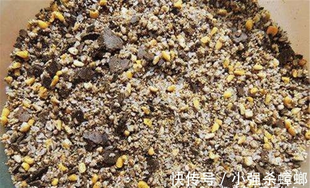 窝点|冬季鲫鱼开始扎堆,常规窝料难以奏效,用这种窝料,鱼会越钓越多