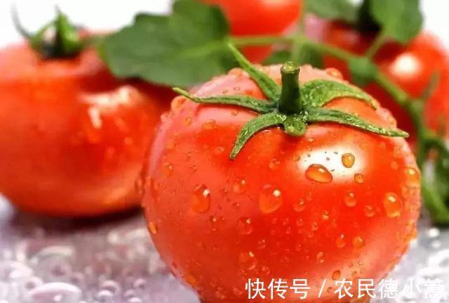 薏苡仁粥|晚餐不吃会饿，吃了又怕长胖，若想减肥瘦身，以下5种食物可多吃