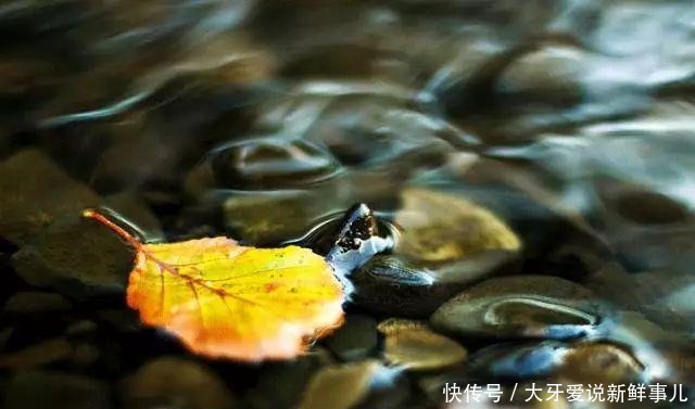 秋雨仍然在这天地间流淌着，我喜欢它的清凉