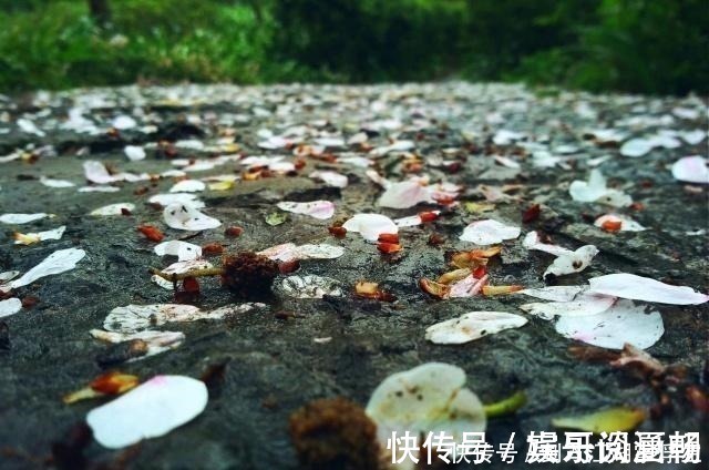 沧桑&八首诗词,八种眼泪哪一种,是你曾经的心情