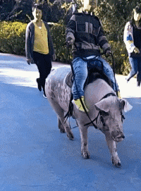 |搞笑GIF:姑娘 是时候找个男朋友了