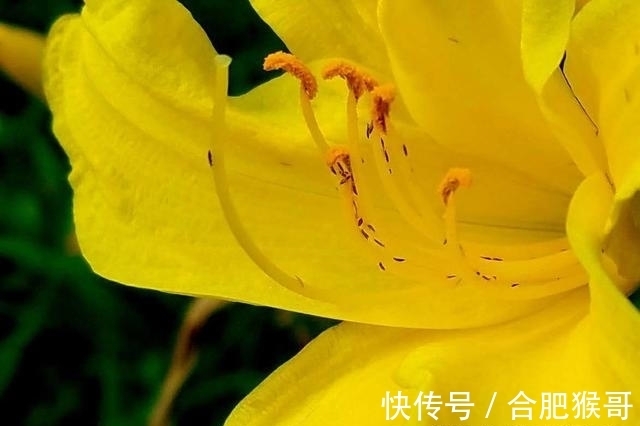 破镜重圆|桃花遍地，真爱已至，主动出击，终于破镜重圆，余生永不欺骗