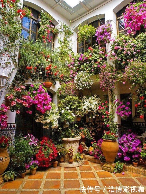 丽江发现一户人家院子，那叫一惊艳！太美了，拍照给大家看看