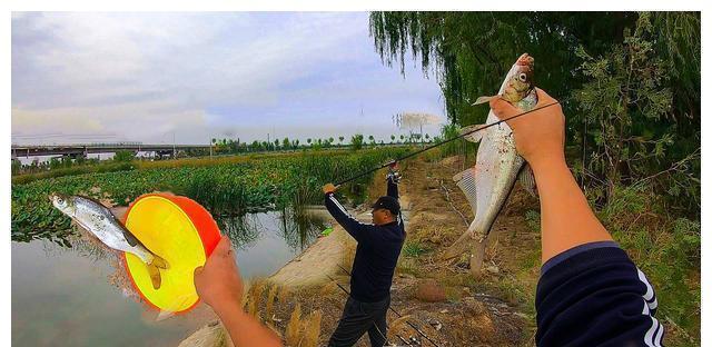 夏季|钓鱼实战:钓翘嘴的技巧,都在这里了,请花一分钟耐心看完