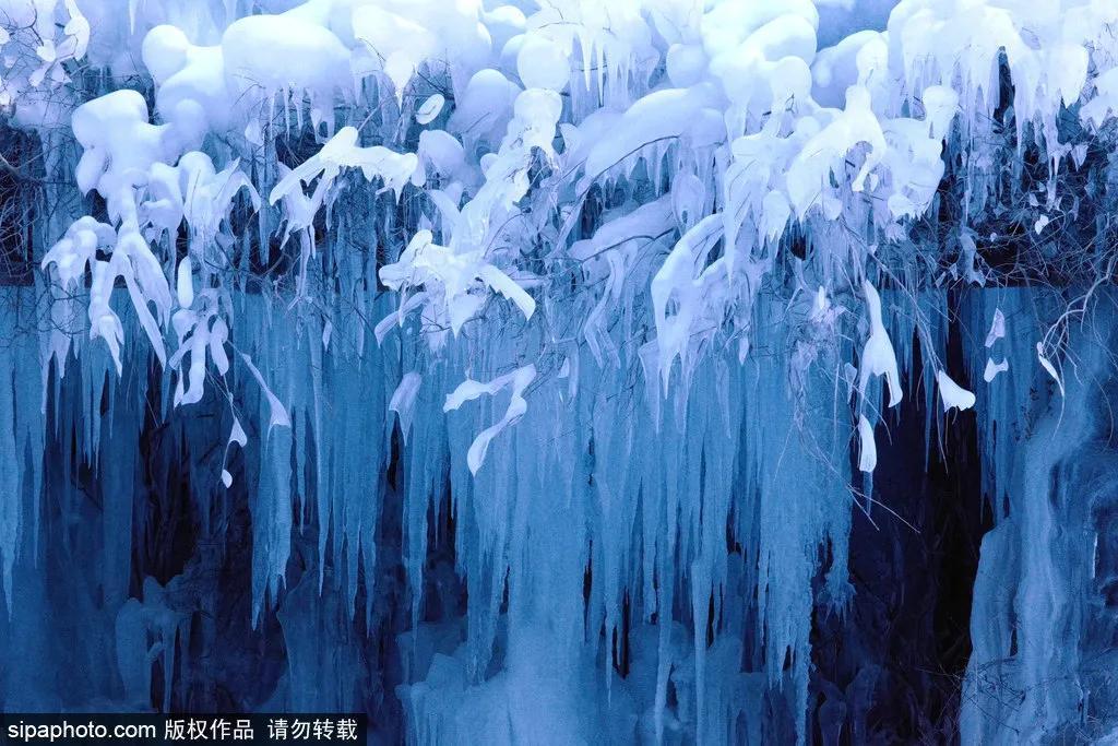 细“鼠”点滴：极不平凡的2020年，看完竟然默默流泪了！