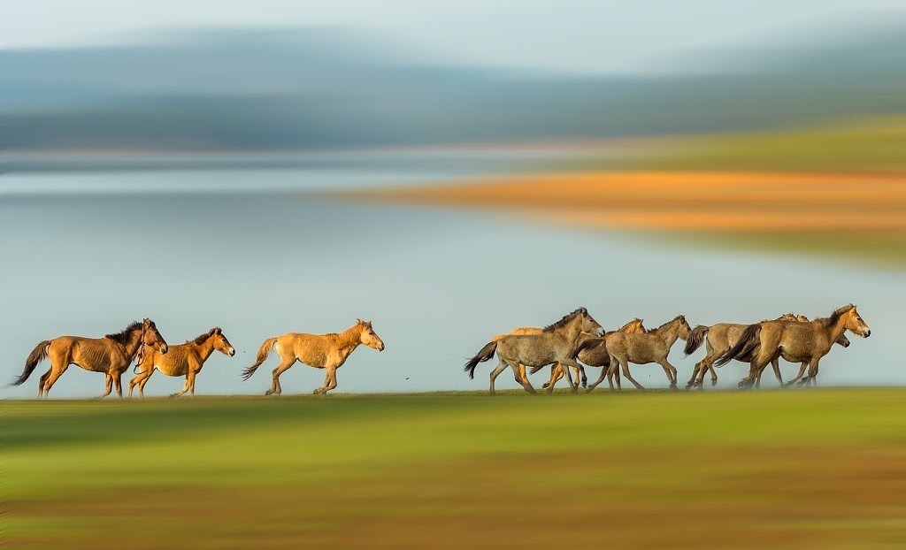 原型|它是西域古国,也是《西游记》中乌鸡国的原型,境内真有流沙河