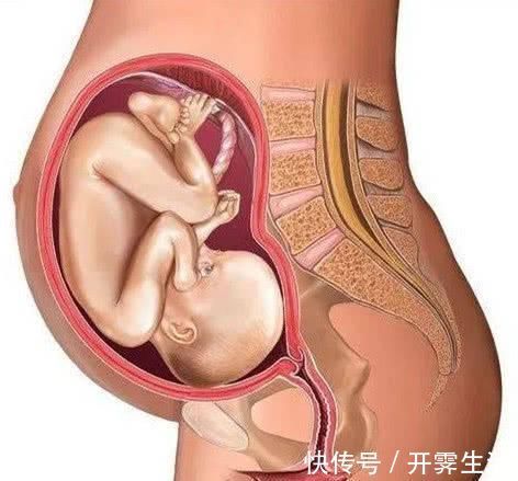 拉玛泽|顺产到底有多“疼”看到第3张图,也许你会明白