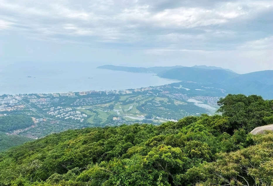 不一样的热带雨林，不一样的美丽风景——游亚龙湾热带天堂森林公园