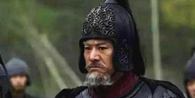 原因就|这位将军武功无人能敌,帝王都忌惮三分不敢杀,却为自保愁白头发