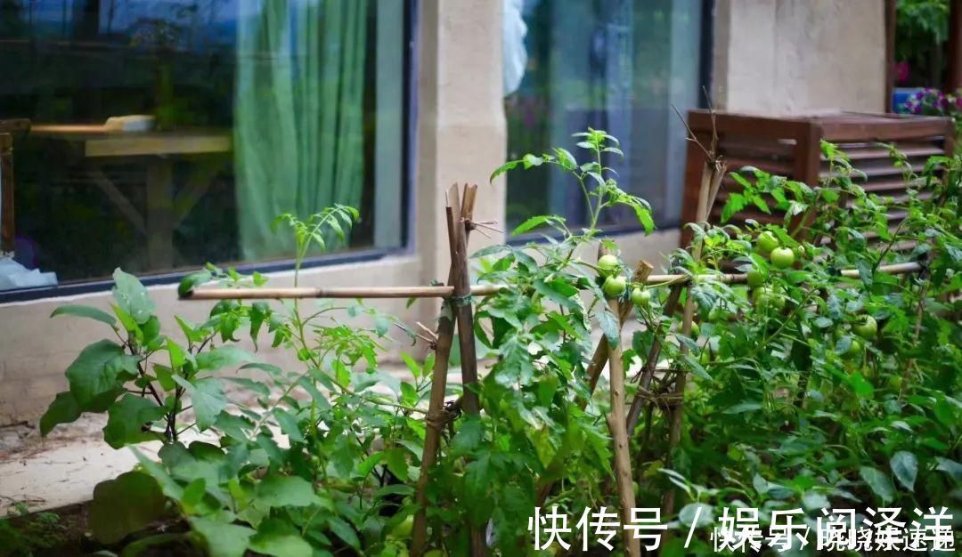 在乡下改造一个小院，种菜养花天天都是乡村田园梦，生活如此惬意