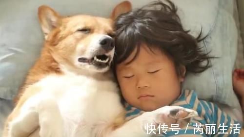 宠物狗|宝妈看女宝午睡有没有踢被子 眼前的一幕让宝妈捧腹大笑!