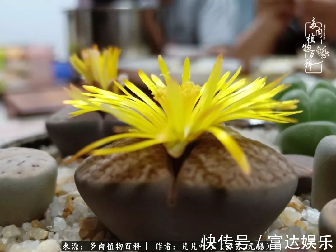 养肉路上，累并快乐着！时光不语，静待花开！