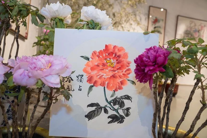 国色天香@唯有牡丹真国色,花开时节迎新春