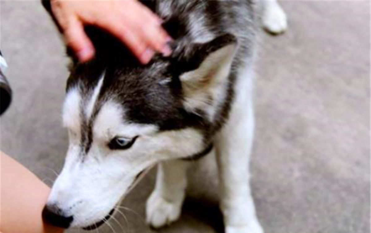 俗语“男怕摸头,女怕摸腰”,为何原来背后有深义