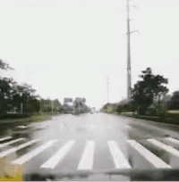 搞笑|搞笑GIF：拔河遇到这么敬业的队友，不赢都对不住他！
