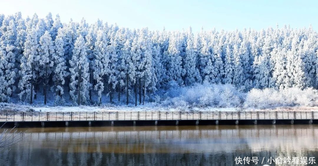 雪景|遂昌大美雪景图！让你一次看个够