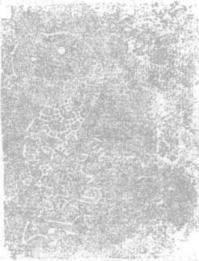 陶正刚丨山西浑源县李峪村东周墓