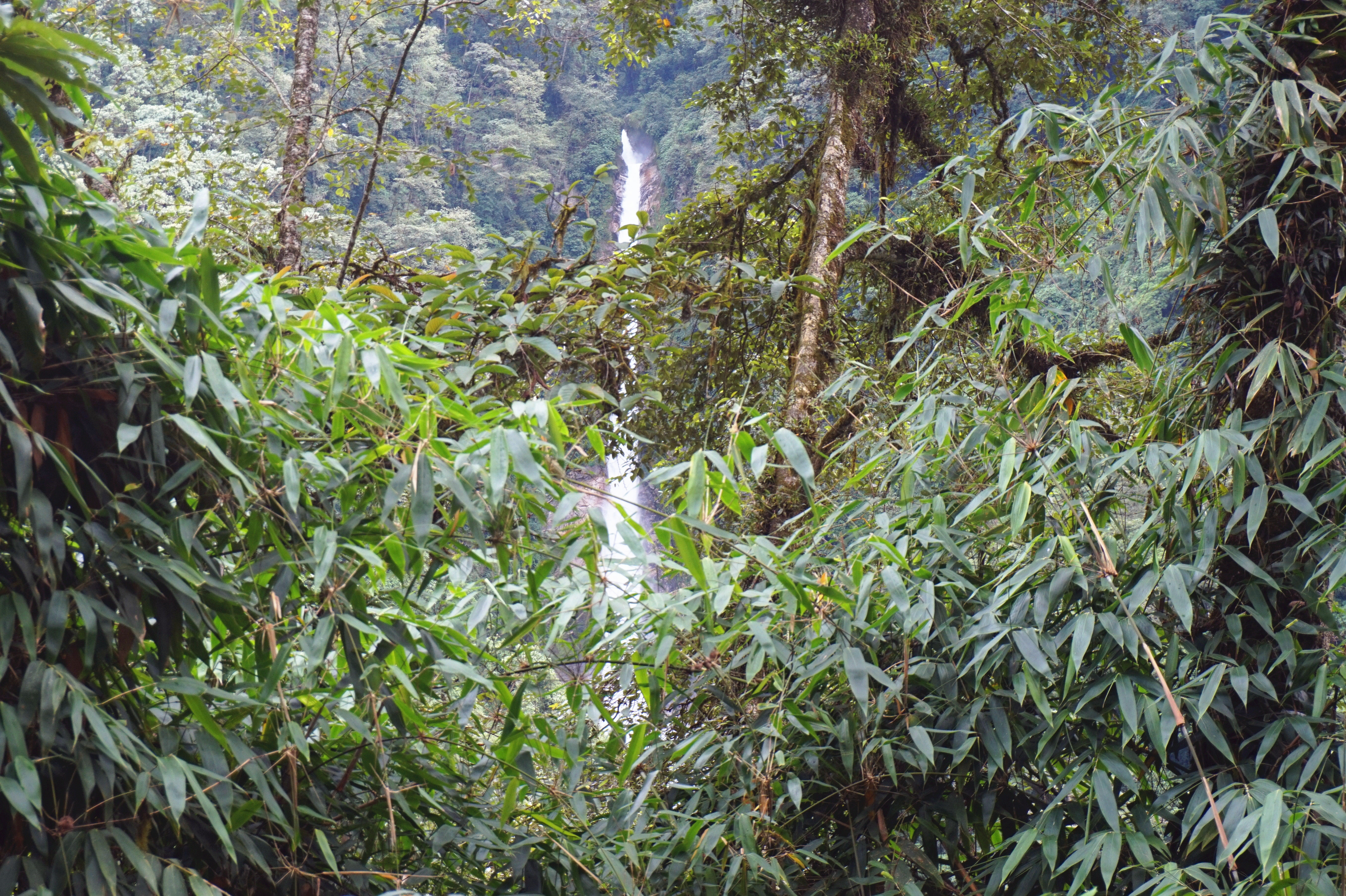 难忘的历程川滇藏青甘蒙游记32，目标莲花圣地墨脱