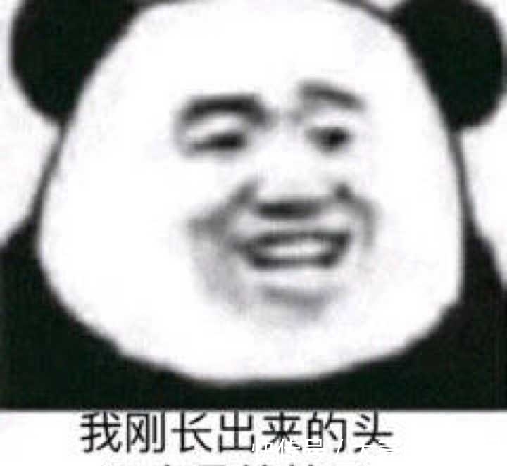 文案|有毒!现在的小说真敢编,无脑又搞笑的文案让人根本停不下来!