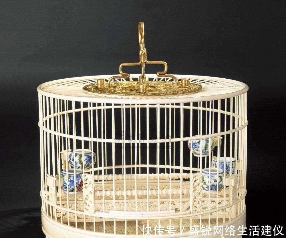 俗语|俗语“钓鱼穷三年,玩鸟毁一生”,其实下句才是精华,道尽古人的处世智慧