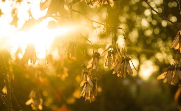 雌激素|更年期是每位女性都要经历的阶段,当遇到时要有正确的处理方法
