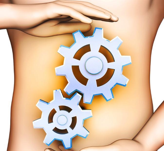 三镜|中医常说观3镜,知全身!屁为脾之镜,胁为肝之镜,踵为肾之镜