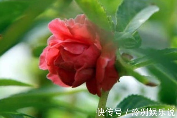 腰椎病变|“十个人九个腰疼”,常食3物,腰不酸,腿不软,皮肤白里透红!