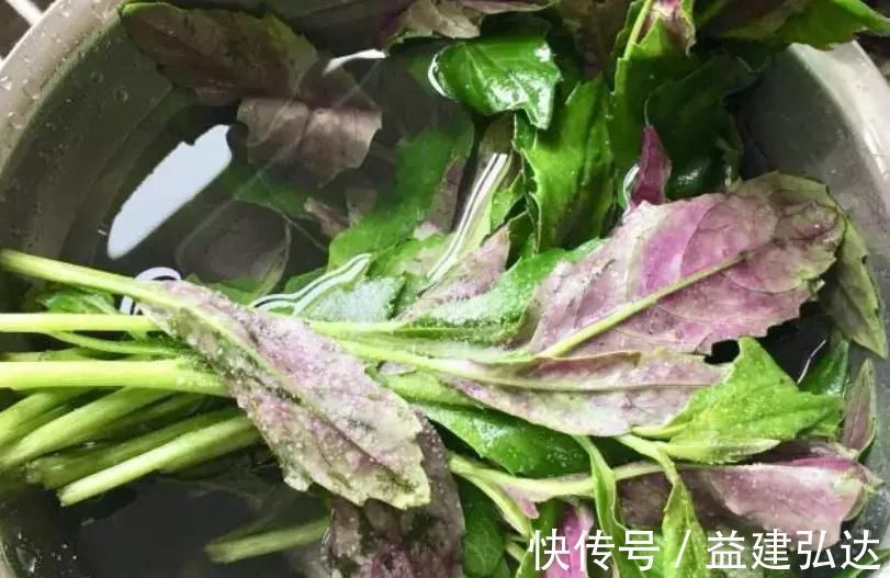 红润|被人称为“穷人的阿胶”,每天炒一盘,补血养血,脸色越来越红润