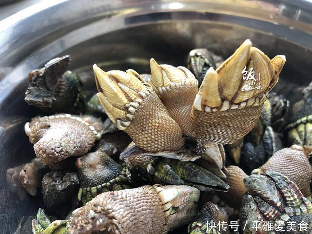 这海鲜十分难得,上百元一斤,人们冒着生命危险都要去捕捞