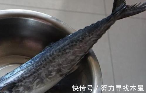 燕鲅|这个营养丰富的食物,我不允许你不知道,快试着做吧!