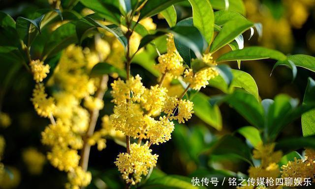 男性若出现四种“丑态”,或是在提醒你雄激素快要“见底”了