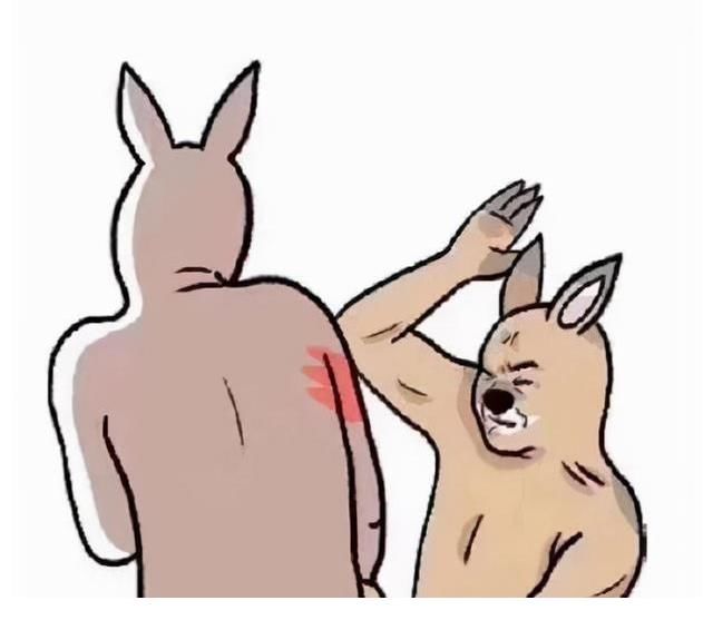 女儿们的恋爱|《女儿们的恋爱4》海报被曝抄袭,遭网友痛批