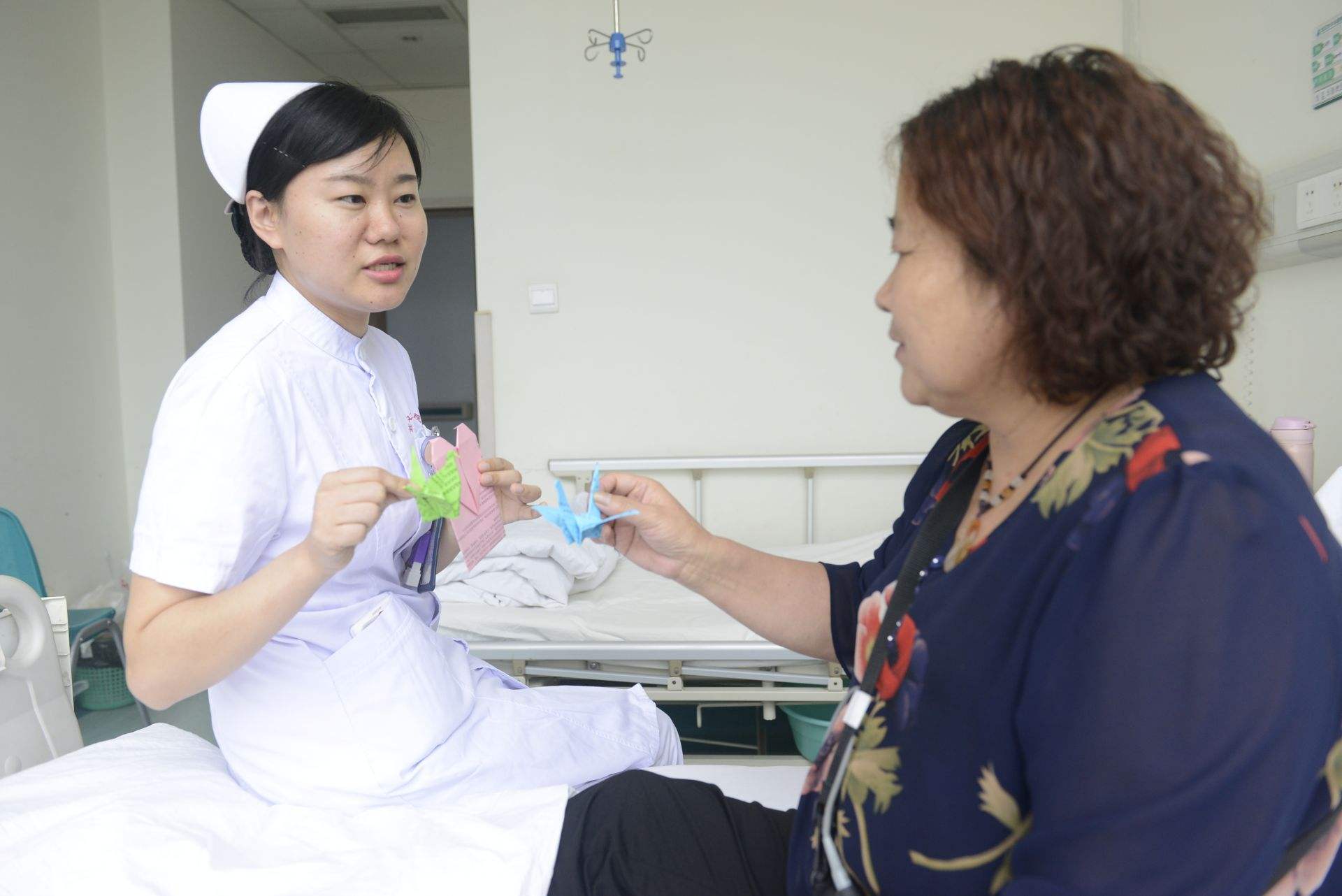 禁忌|每天一勺三七粉泡水喝,中年阿姨险丧命,三七的禁忌,早了解为好