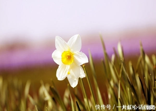 眉头|眉头皱纹怎么去除 ,笑看世间变迁 ,而你仍旧青春常在!