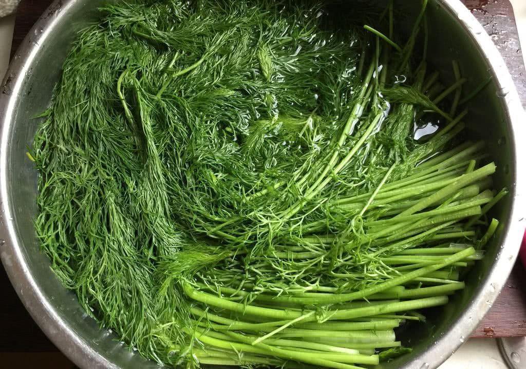 豆瓣酱|夏天吃饺子,韭菜靠边站,这个菜比韭菜还鲜美,水嫩又好吃